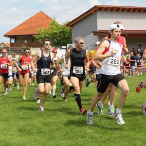 2012 Huegellauf Laufstrecken 5