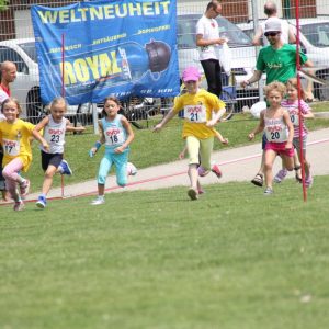 2013 Huegellauf Kids Lauf 1