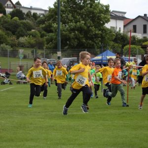 2015 Huegellauf Kidslauf 118