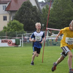 2015 Huegellauf Kidslauf 220