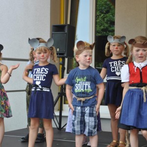 2015 Kindergartensommerfest 44
