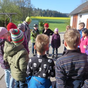 2016 Kraeuterwanderung Volksschule 3a 1