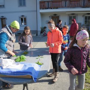 2016 Kraeuterwanderung Volksschule 3a 16