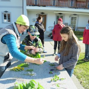2016 Kraeuterwanderung Volksschule 3a 21
