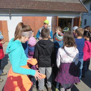 2016 Kraeuterwanderung Volksschule 3a 31