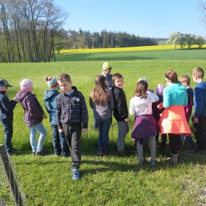 2016 Kraeuterwanderung Volksschule 3a 33