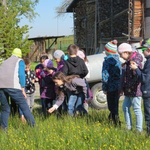 2016 Kraeuterwanderung Volksschule 3a 34