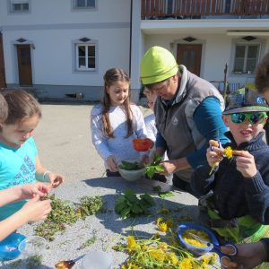 2016 Kraeuterwanderung Volksschule 3a 77