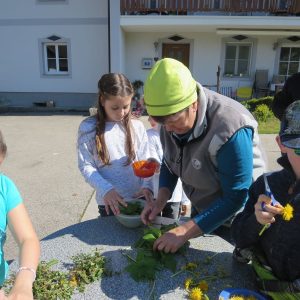 2016 Kraeuterwanderung Volksschule 3a 78