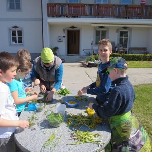 2016 Kraeuterwanderung Volksschule 3a 82