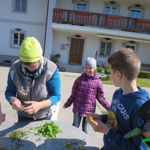 2016 Kraeuterwanderung Volksschule 3a 83