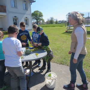 2016 Kraeuterwanderung Volksschule 3a 86