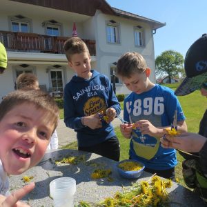 2016 Kraeuterwanderung Volksschule 3a 87